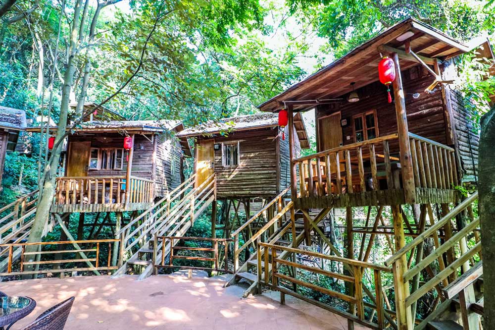 O型树上围屋(图1) O型树上围屋(图1)