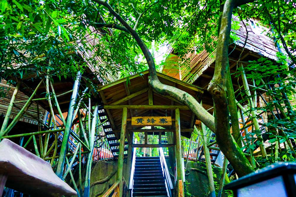 O型树上围屋(图7) O型树上围屋(图7)