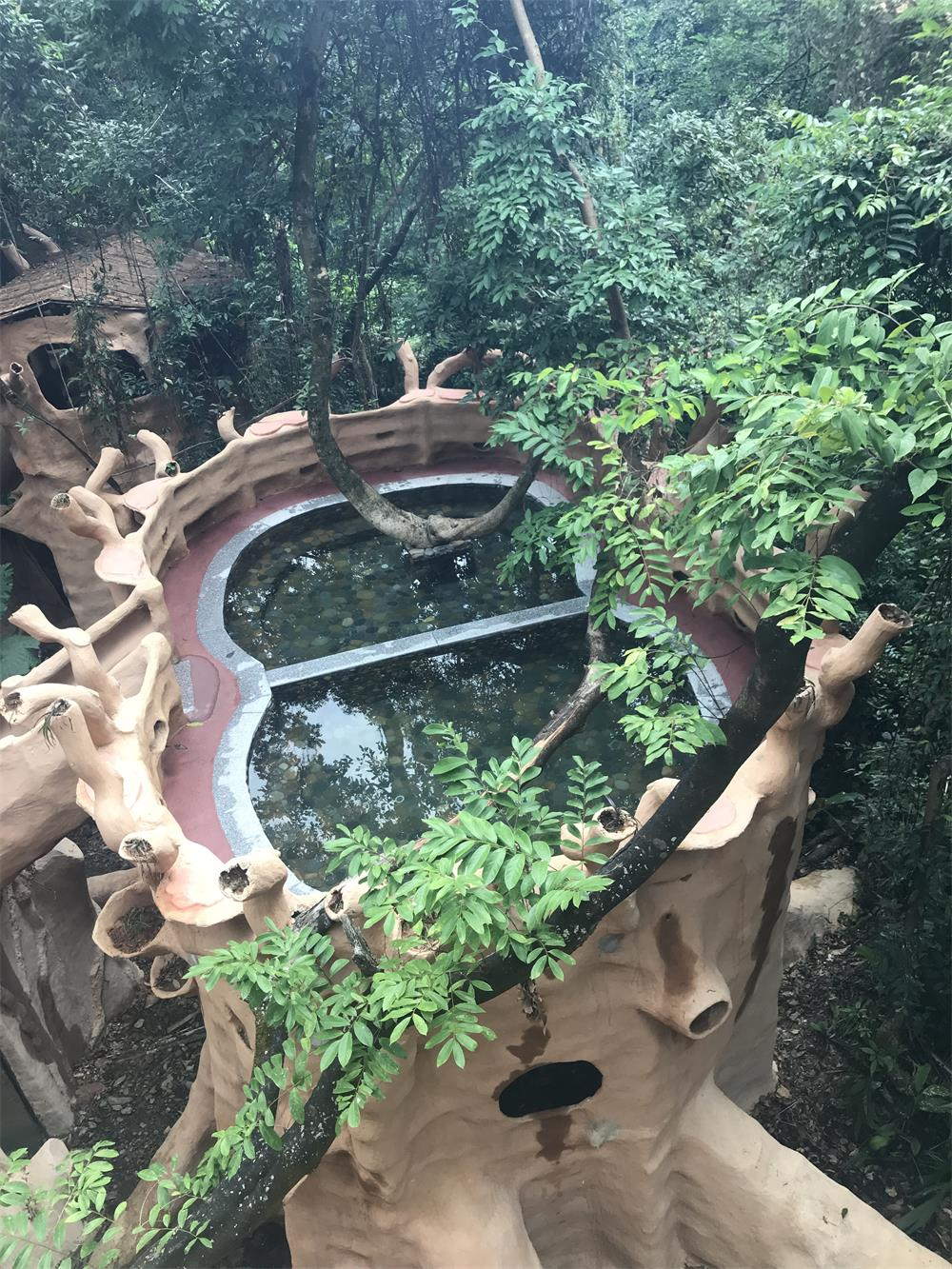 树上汤泉(图7) 树上汤泉(图7)